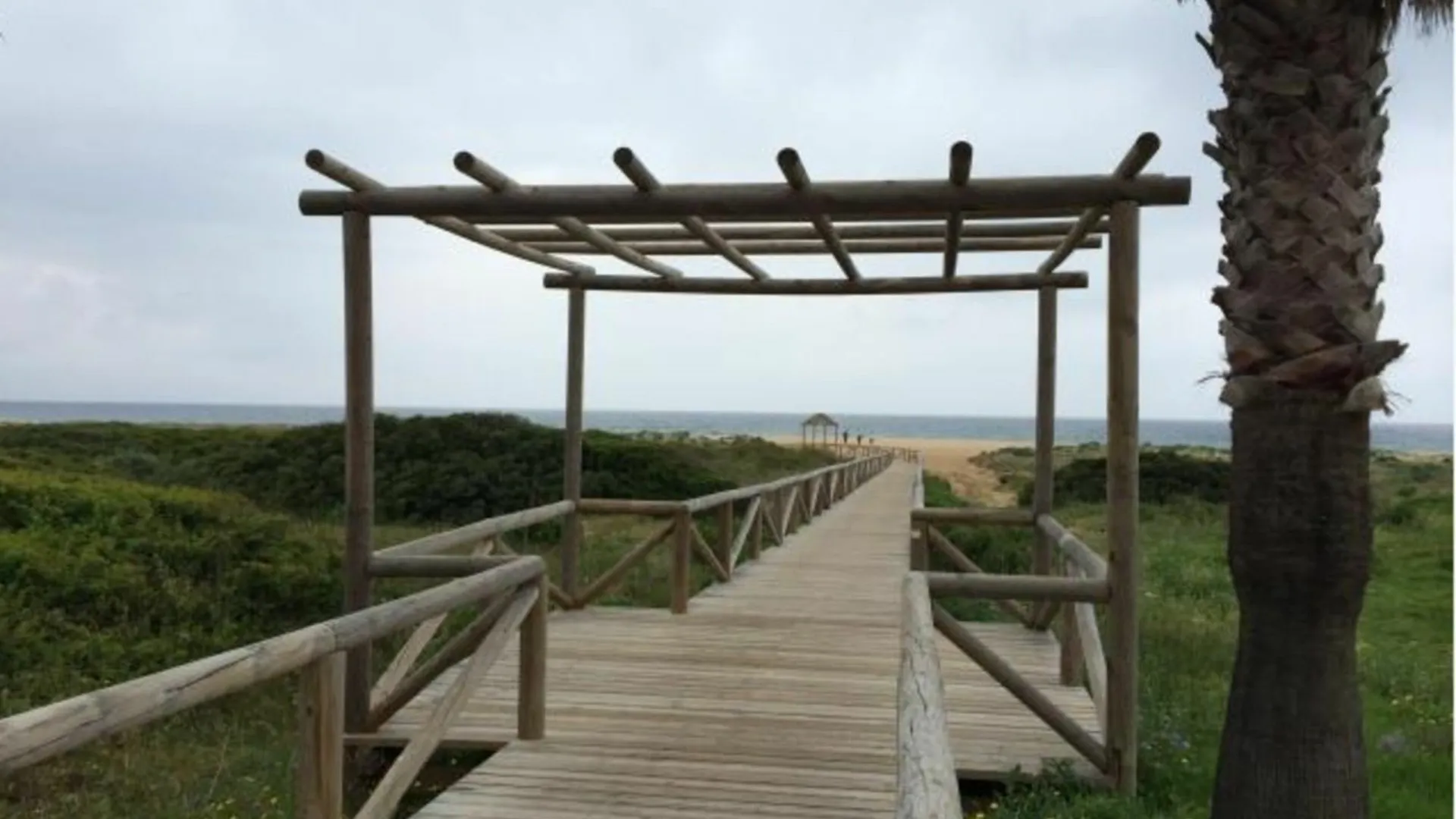103398 - Apartment In Zahara Tarifa